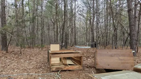 0 Wood Lane Shannon NC 28386
