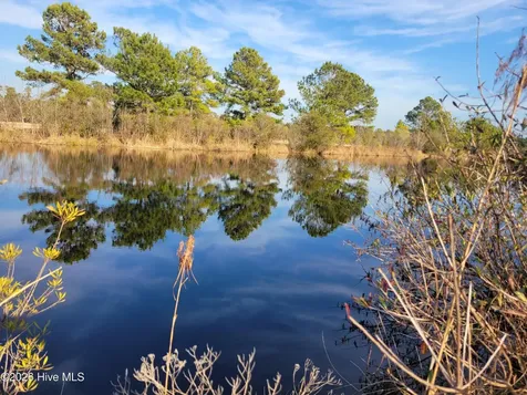 Lot 428 Bay Tree Drive Harrells NC 28444