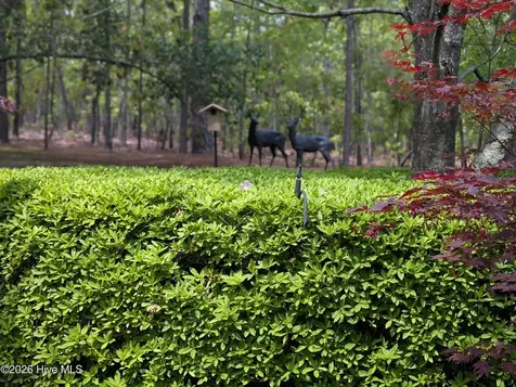 845 Lake Dornoch Drive Pinehurst NC 28374