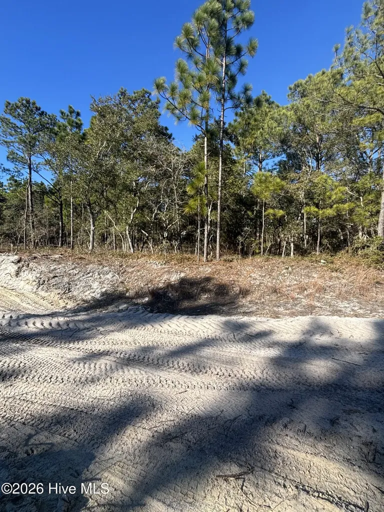 Lot 221 Starling Break Road Southport NC 28461