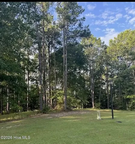 1049 Mill Creek Drive Minnesott Beach NC 28510