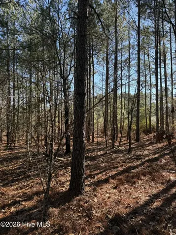 257 Lakeview Lane Cameron NC 28326