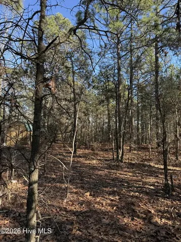 257 Lakeview Lane Cameron NC 28326
