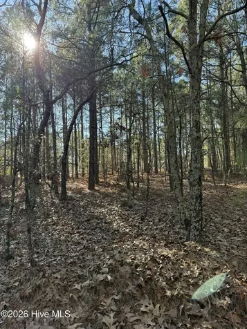 257 Lakeview Lane Cameron NC 28326