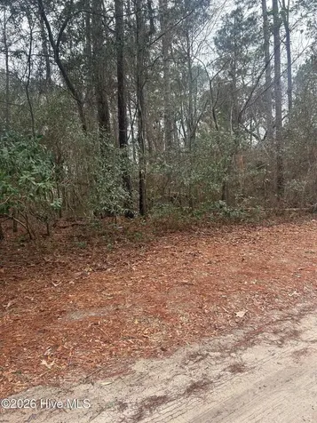 103 Dogwood Lane Sneads Ferry NC 28460