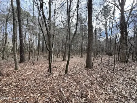 405 Batts Island Road Edenton NC 27932