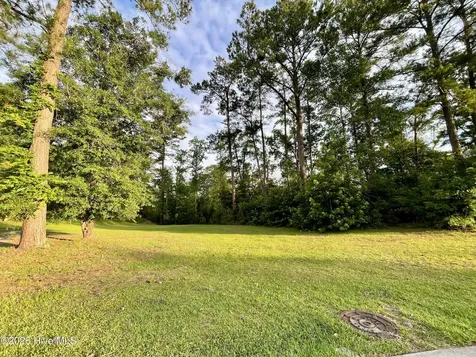 9738 Salty Apple Circle NE Leland NC 28451