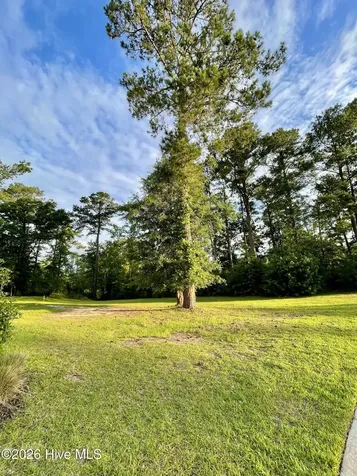 9738 Salty Apple Circle NE Leland NC 28451