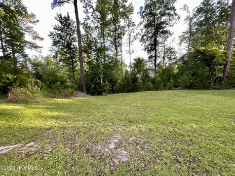 9738 Salty Apple Circle NE Leland NC 28451