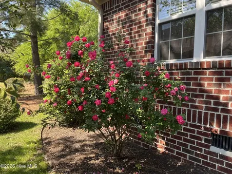3805 Daphine Drive Wilmington NC 28409