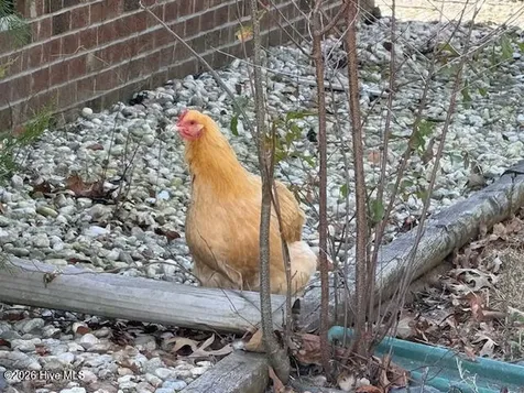 176 Old Fountain Road Richlands NC 28574