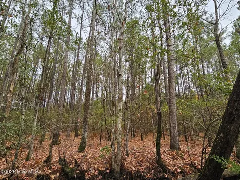 0 Nc-304 Bayboro NC 28515