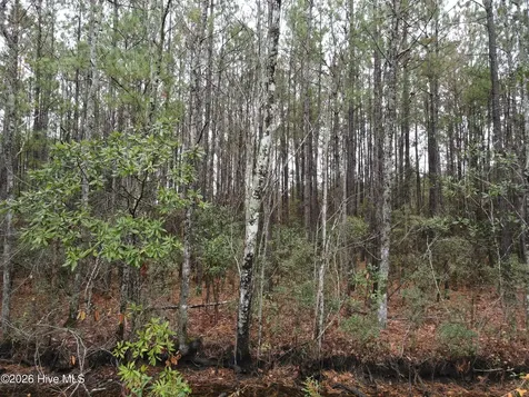 0 Nc-304 Bayboro NC 28515