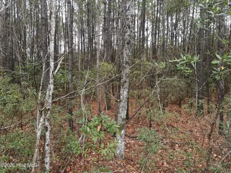 0 Nc-304 Bayboro NC 28515