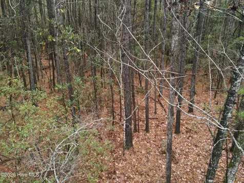 0 Nc-304 Bayboro NC 28515