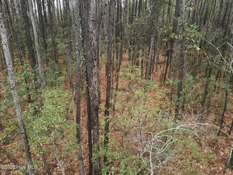 0 Nc-304 Bayboro NC 28515