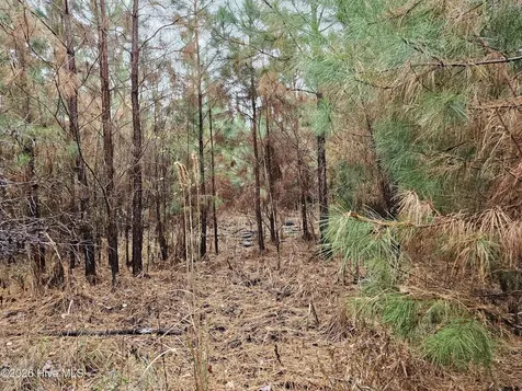 0 Nc-304 Bayboro NC 28515