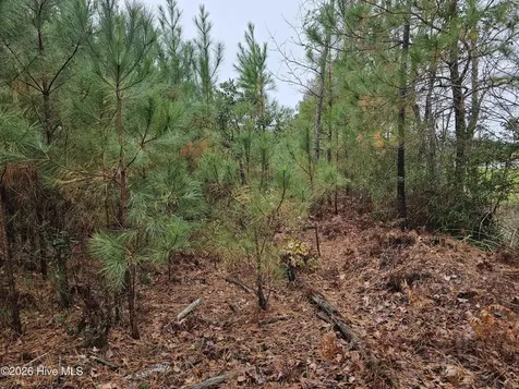 0 Nc-304 Bayboro NC 28515