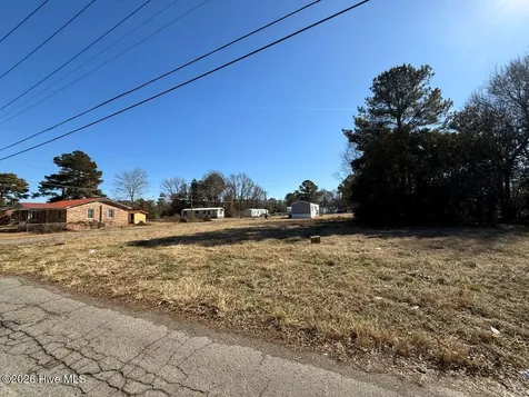 Off Of S Chestnut Street Mount Olive NC 28365