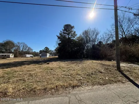 Off Of S Chestnut Street Mount Olive NC 28365