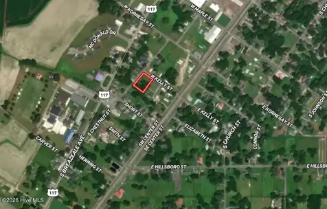 Off Of S Chestnut Street Mount Olive NC 28365