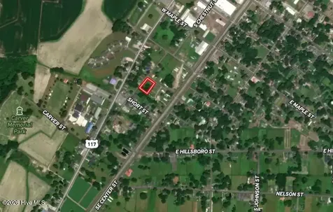 Off Of S Chestnut Street Mount Olive NC 28365