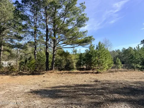 Lot 21 Branch Drive Burgaw NC 28425