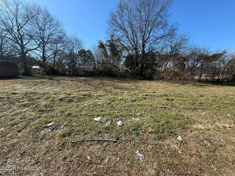 Off Of E Kornegay Street Mount Olive NC 28365