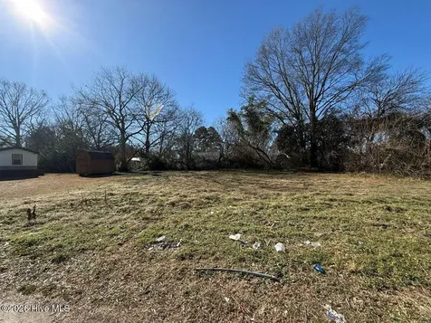 Off Of E Kornegay Street Mount Olive NC 28365