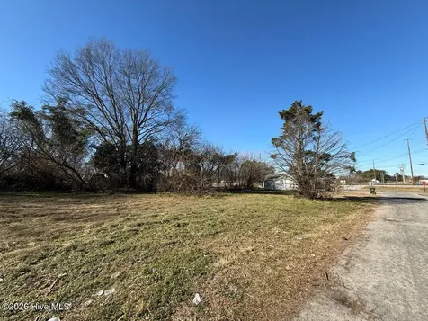 Off Of E Kornegay Street Mount Olive NC 28365