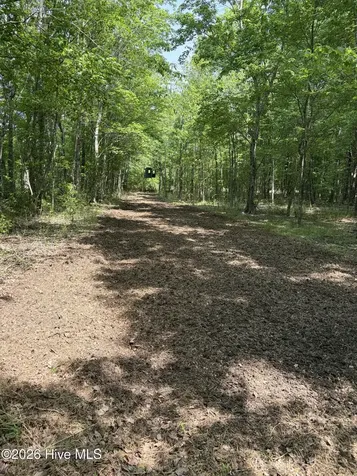 1381 Folly Road Plymouth NC 27962