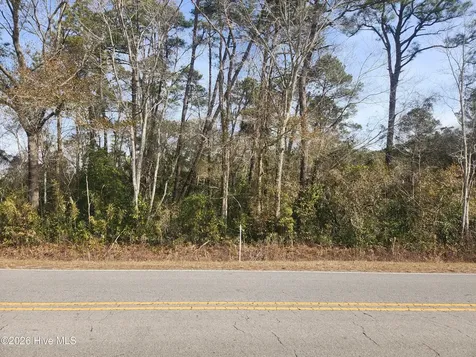 9 Ac Colon Mintz Road Leland NC 28451