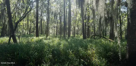 100 Hog Island New Bern NC 28560