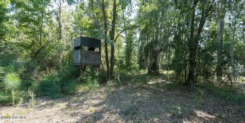 100 Hog Island New Bern NC 28560