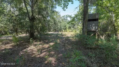 100 Hog Island New Bern NC 28560