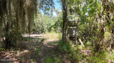 100 Hog Island New Bern NC 28560