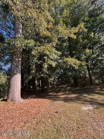 2905 Tacoma Drive Kinston NC 28504