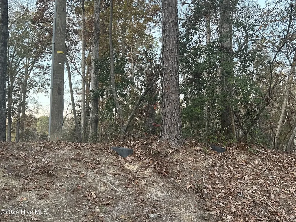 204 Lakeview Drive Whispering Pines NC 28327