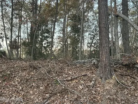204 Lakeview Drive Whispering Pines NC 28327