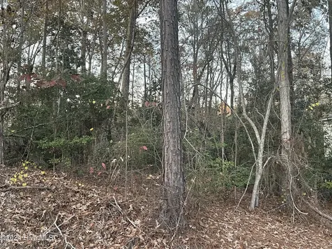 204 Lakeview Drive Whispering Pines NC 28327