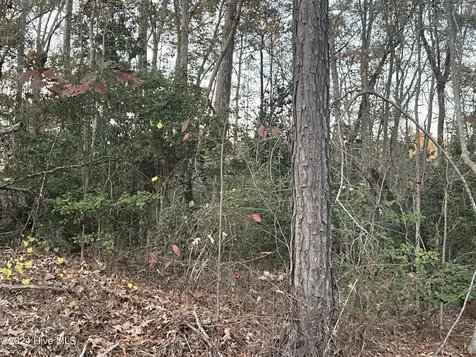 204 Lakeview Drive Whispering Pines NC 28327
