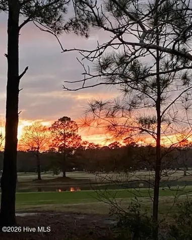 707 Royal Fern Court NW Calabash NC 28467