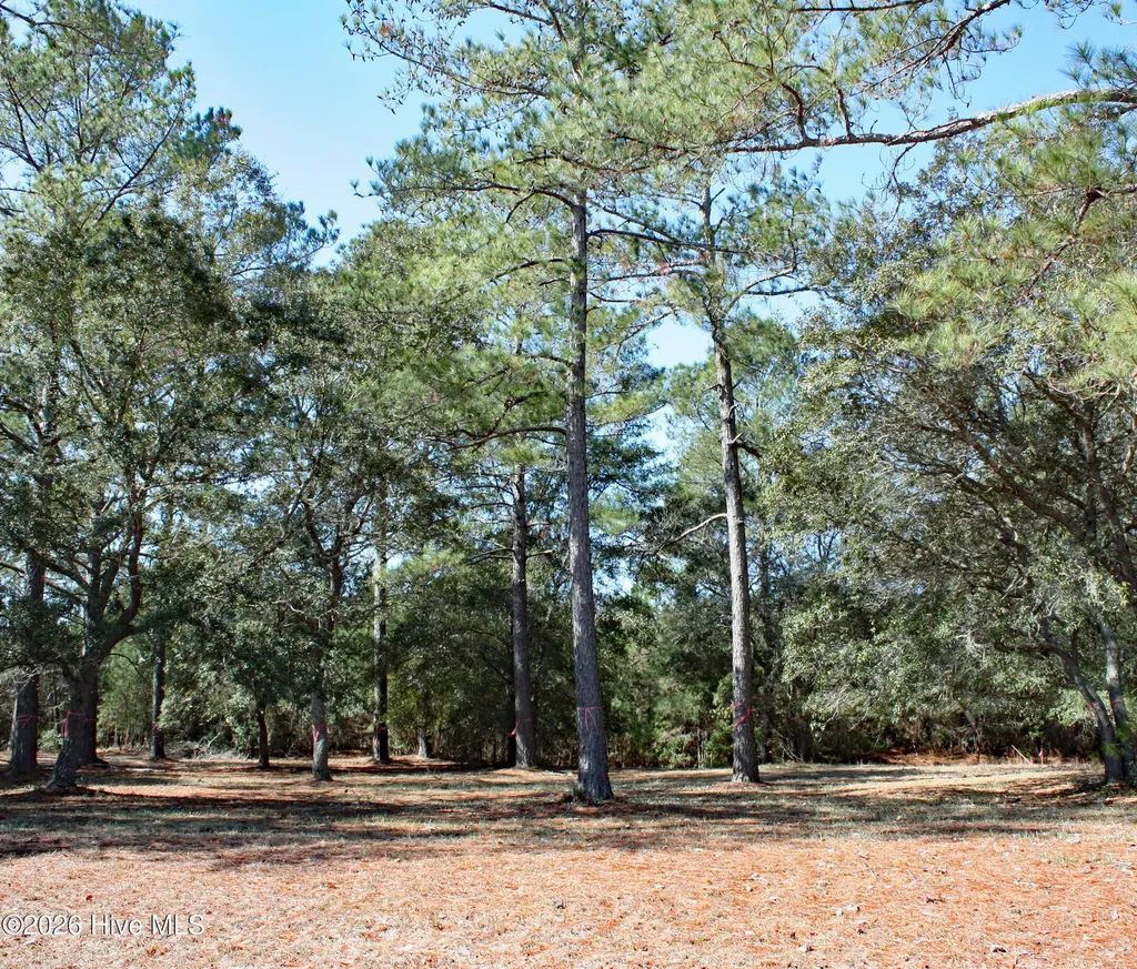 7483 Haddington Place SW Sunset Beach NC 28468