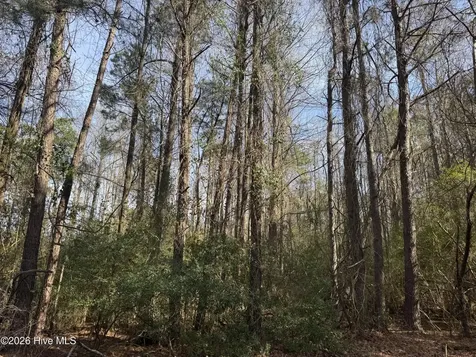 0 Butler Mill Road Bladenboro NC 28320
