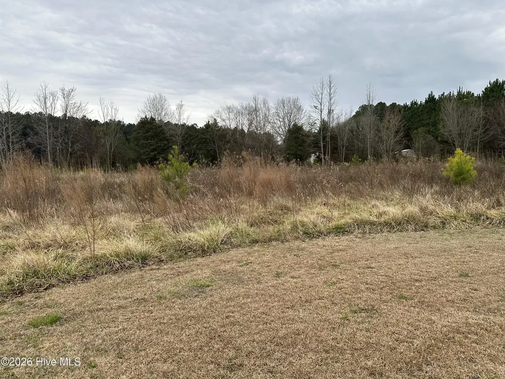 18 Near 18 Taylor Lane Clarendon NC 28432