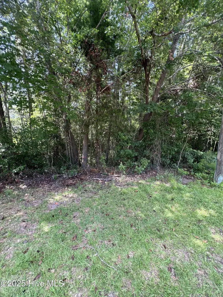 301 Spring Lake Drive Pinehurst NC 28374
