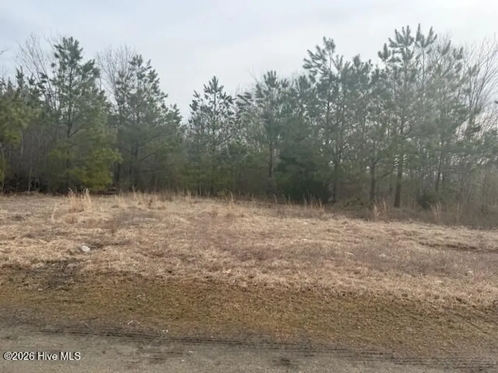 Tbd Carter Street Woodland NC 27897