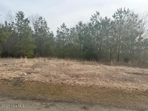 Tbd Carter Street Woodland NC 27897