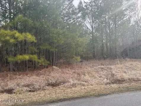 Tbd Carter Street Woodland NC 27897