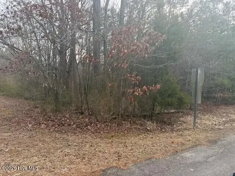 Tbd Carter Street Woodland NC 27897